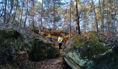Trail Walking Fontainebleau - viennes carosses - Photo 7