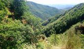 Tour Wandern Val-d'Aigoual - vers les cascades d orgon - Photo 3