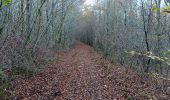 Randonnée Marche Raon-aux-Bois - Circuit Raon aux bois depuis parcours sportif  - Photo 2