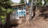 Trail On foot Merom HaGalil Regional Council - Amuka Forest Scenic Road - Photo 8