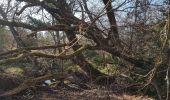 Tocht Stappen Rion-des-Landes - 2/4 - Photo 1