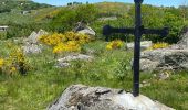 Trail Walking Recoules-d'Aubrac - Au temps des fleurs et des genêts - Photo 2