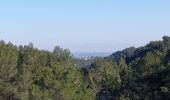 Tour Wandern Saint-Rémy-de-Provence - Saint Remy - les Baux  - Photo 15