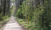 Percorso A piedi Sconosciuto - Sossenheimer Obstpfad - Photo 1