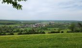 Tour Mountainbike Magny-Vernois - Magny Vernois, tour de gouhenans  - Photo 2