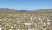 Trail Walking Mantet - col de mantet - Photo 1