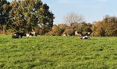 Randonnée Marche Pédernec - le Menez Bré par l'est - Photo 1