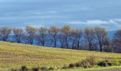 Tocht Stappen Lautrec - Lautrec boucles ails et 2 chateaux - Photo 3