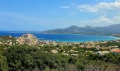 Trail Walking Calvi - Boucle Croix des Balkans - Phare de Revellata - Notre dame de la Sierra - Photo 7