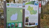 Tour Wandern Nouan-le-Fuzelier - Etang des Lévrys - Photo 2