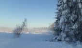 Trail Walking Waimes - botrange au dessus des nuages  - Photo 2