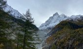 Tocht Stappen Chamonix-Mont-Blanc - Point de vue Chapeau  - Photo 1