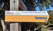 Tour Wandern Tanneron - Tanneron Forêt de Mimosas - Photo 7