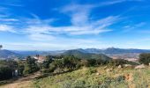 Randonnée Marche La Crau - Le Paradis et le mont des oiseaux - Photo 20