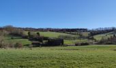 Tour Wandern Bleiberg - A la découverte de Hombourg - Photo 19