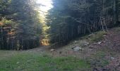 Trail Walking Fos - Cap des Hittes en boucle - Photo 9