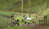 Tour Zu Fuß Bad Friedrichshall - N5a Salzwanderweg - Wandern auf den Spuren des weißen Goldes - Photo 8