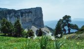 Trail Walking Romeyer - PAS DE PISON COL DES BACHASSON - Photo 12