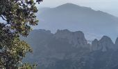 Randonnée Marche Gigondas - Gigondas Dentelles Sarasines Grande Montagne  - Photo 3
