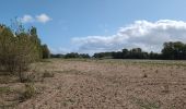 Trail Walking Luynes - Luynes la Rue Barbier - la Loire et l'Aqueduc - 12.3km 100m 3h20 (35mn) - 2025 09 15 - Photo 5
