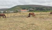 Tour Wandern La Hague - Vauville - Photo 5