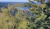 Tour Wandern Angomont - Col de la Chapelotte Sentier de Mémoite - Photo 1