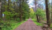 Trail Walking Esneux - autour du parc du Mary - variante  - Photo 11