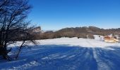Trail Snowshoes Léoncel -  Grand Echaillon-Chovet-Col de la Bataille 10km - Photo 2
