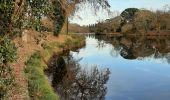 Tour Wandern Pontenx-les-Forges - Pontenx-les-Forges - Photo 5