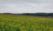 Tocht Stappen Eijsden-Margraten - Mheer - Noorbeek  - Photo 4