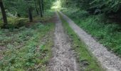 Tocht Paardrijden Bouquetot - hauville foret - Photo 1