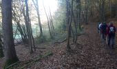 Trail Nordic walking Sprimont - Banneux-20-11-2022 - Photo 6