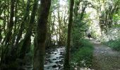 Tour Wandern Cerdon - Cerdon  : La cascade de Fouges (18 km - D. 823 m)  - Photo 7