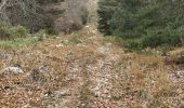 Trail Walking Saint-Vallier-de-Thiey - Col du Pilon : Colle maçon et haut Montet  - Photo 15