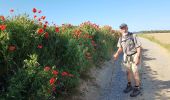 Tour Wandern Chaumont-Gistoux - 2020-05-28 Rando IR204 Dion le Val 22 km - Photo 10