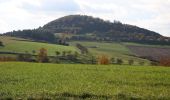 Tour Zu Fuß Hünfeld - Mackenzell Rundweg Nr. 9 - Photo 10