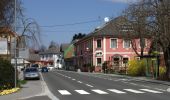 Excursión A pie Bad Waltersdorf - Herrschaftswaldweg (W7) - Photo 1