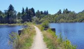 Trail Walking Royère-de-Vassivière - Masgrangeas-Broussas - Photo 6