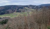 Tour Wandern Sasbachwalden - SASBACHWALDEN - Photo 3