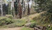 Tour Wandern Brochon - Boucle des cent marches et du pavillon de l'empereur  - Photo 5