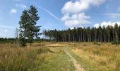 Trail Walking Malmedy - La cascade du Bayehon  - Photo 6