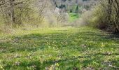 Tocht Stappen Hastière - Hastiere Gendron - Photo 8