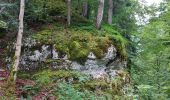 Trail Walking Hauts de Bienne - sentier de la Bienne - Photo 9