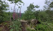 Tocht Stappen Vresse-sur-Semois - rando vresse sur semois 2-06-2024 - Photo 13