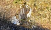 Trail Walking Houyet - Houyet - Domaine Royal & Golf - Photo 7