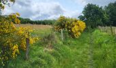 Tocht Stappen Houffalize - Engreux 080625 - Photo 3