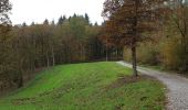 Tour Wandern Havelange - La balade du Chêne au Gibet - Photo 3