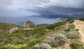 Trail Walking Calvi - Revellata  - Photo 7