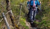 Trail Walking Pluherlin - Rochefort en terre - Photo 9