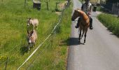 Trail Horseback riding Métairies-Saint-Quirin - kubolot point de vue abreschviller retour crâne  - Photo 1